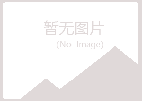 商洛晓夏水泥有限公司